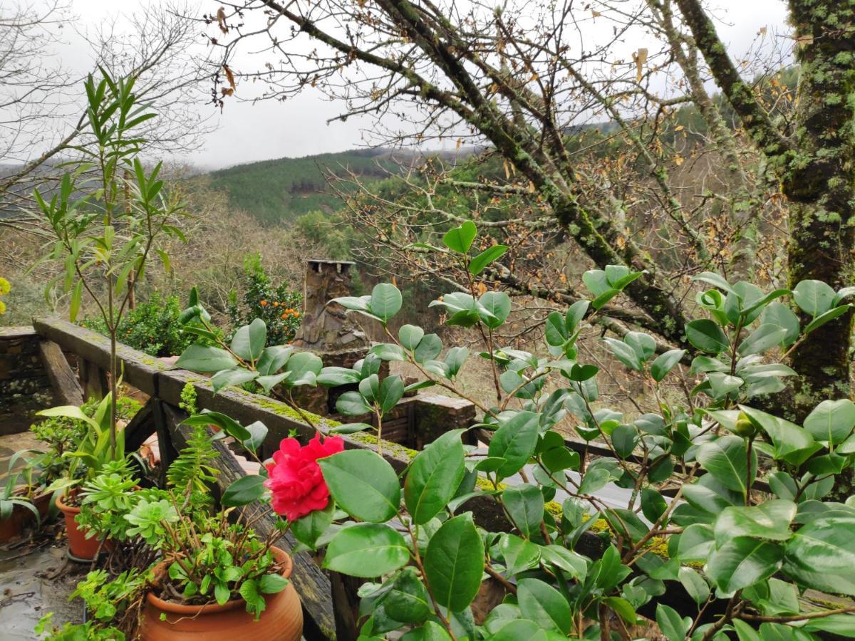 Casa Em Xisto Na Serra Da Lousa, Gondramaz ภายนอก รูปภาพ
